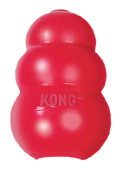 Kongs