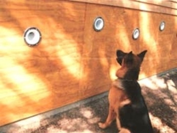 K-9 BSD Geräte