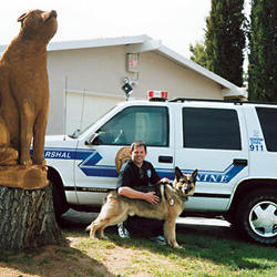 polizei