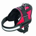 Xtreme No Limit Harness