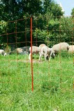 Mobile Fence, 50 meters, 90 cm high
