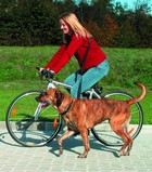 Biking and Jogging Leash