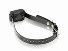 Atrappe Dogtra 1210/3500