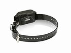 Atrappe Dogtra IQ