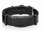Atrappe Dogtra ARC 800