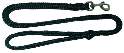 Nylon Rope Leashes